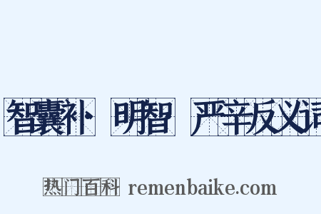 智囊补·明智·严辛反义词是什么意思的图片